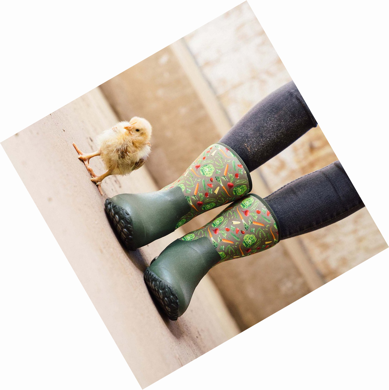 Botas De Goma Muck Muckster Mujer Verde | ES-GLY978